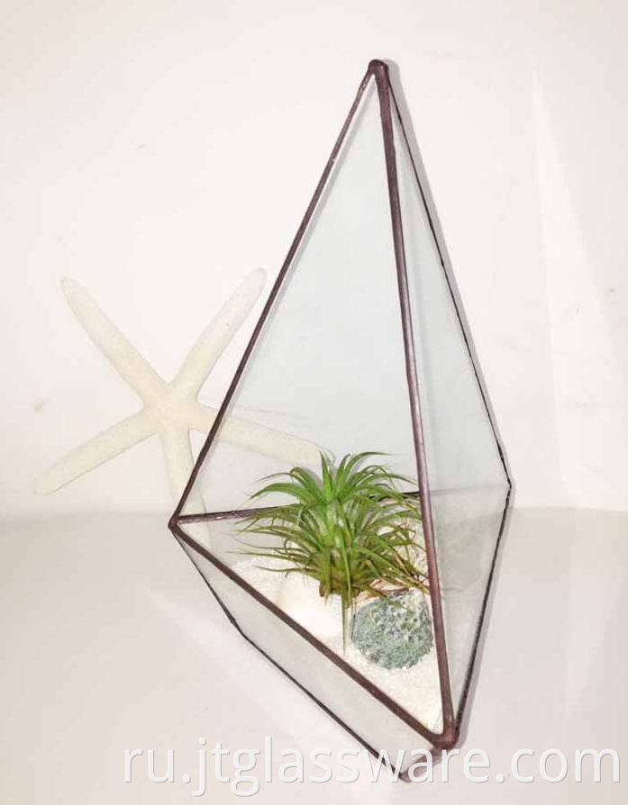 Square Glass Plant Terrarium1